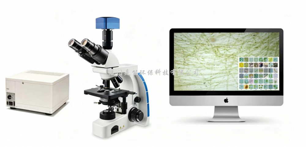 浮游生物智能分析系统(YES-Algae)